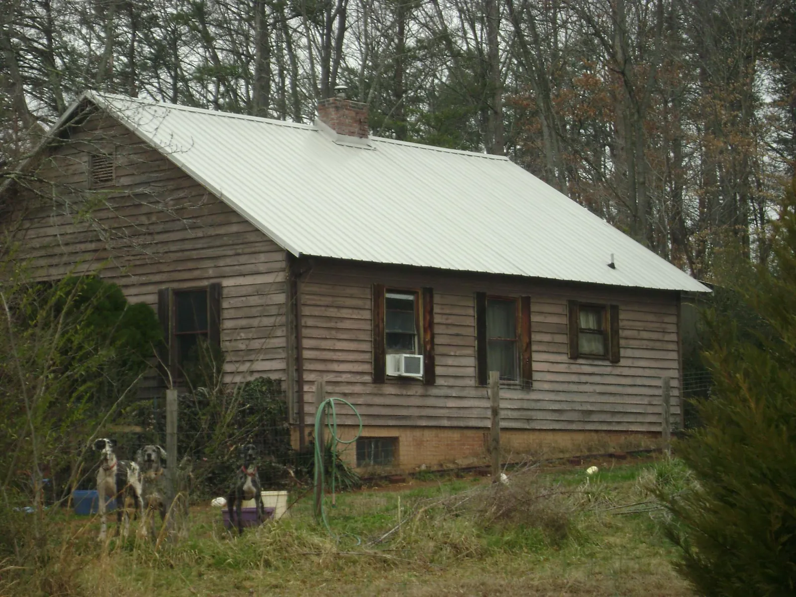 White metal roof on an old wood sided farmhouse, from a Asphalt Shingle Roof Repair job in Audubon